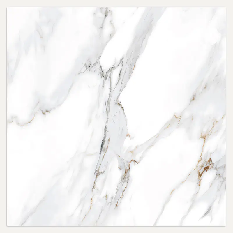 Carrelage Olisey 56x56