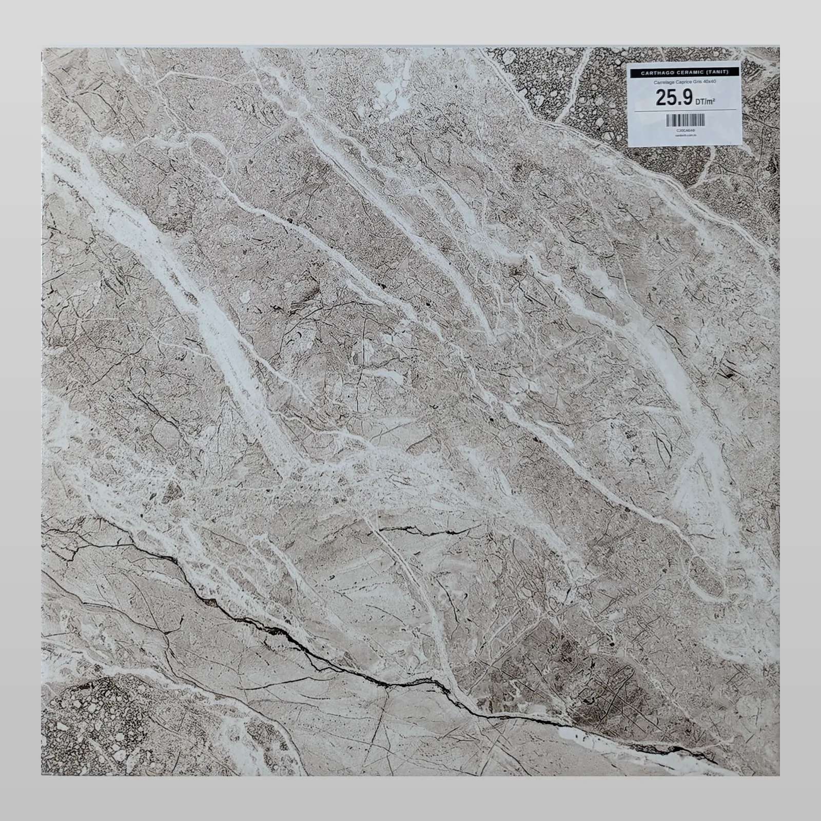 Carrelage Caprice Gris 40x40