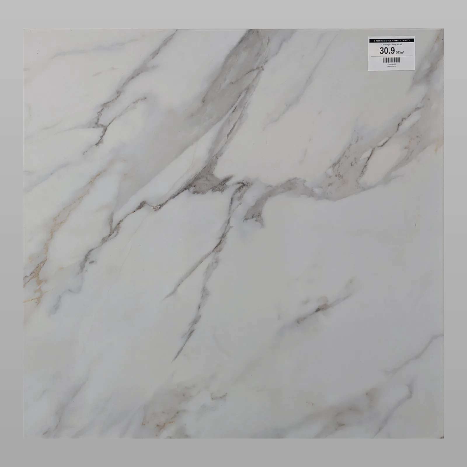 Carrelage Olisey 56x56