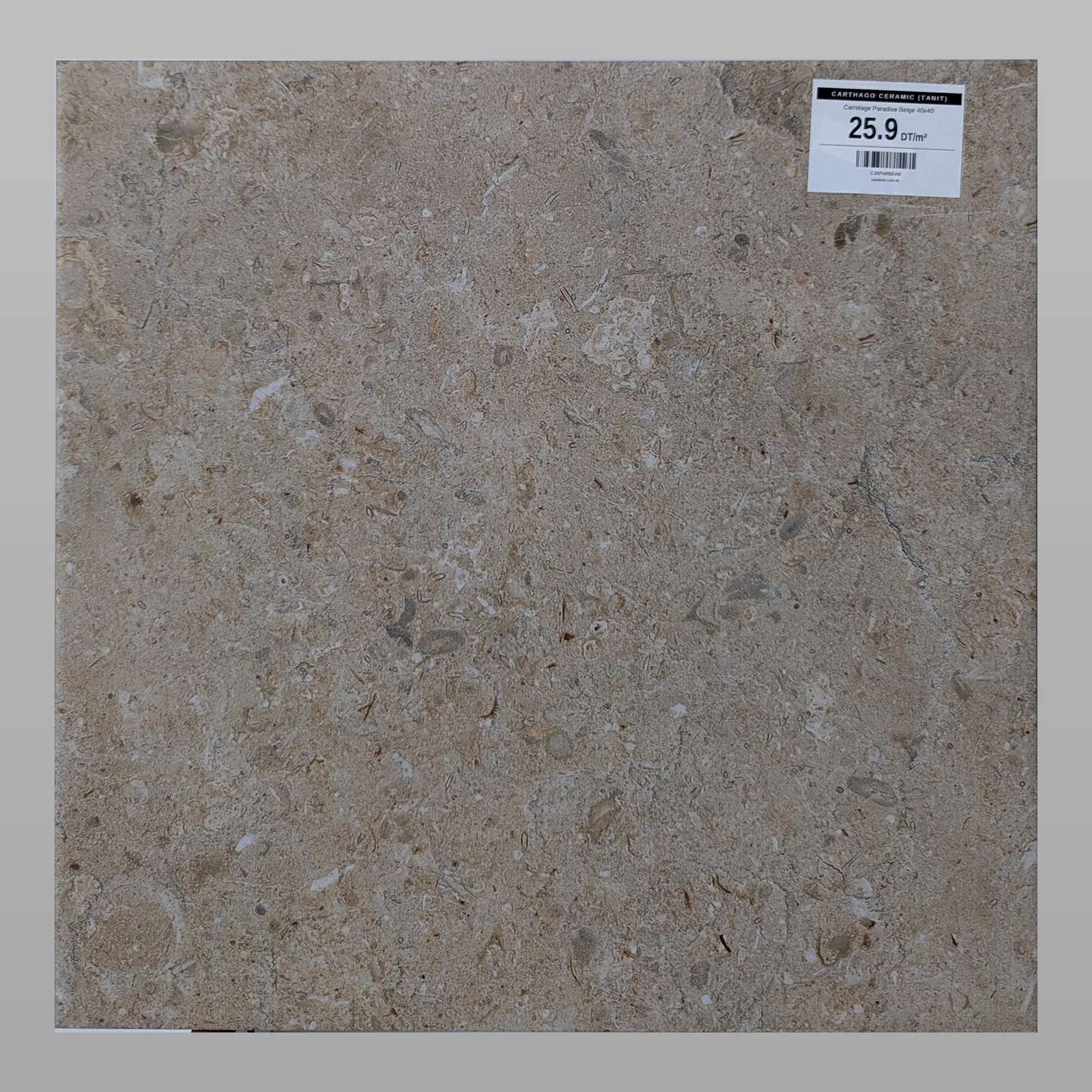 Carrelage Paradise Beige 40x40