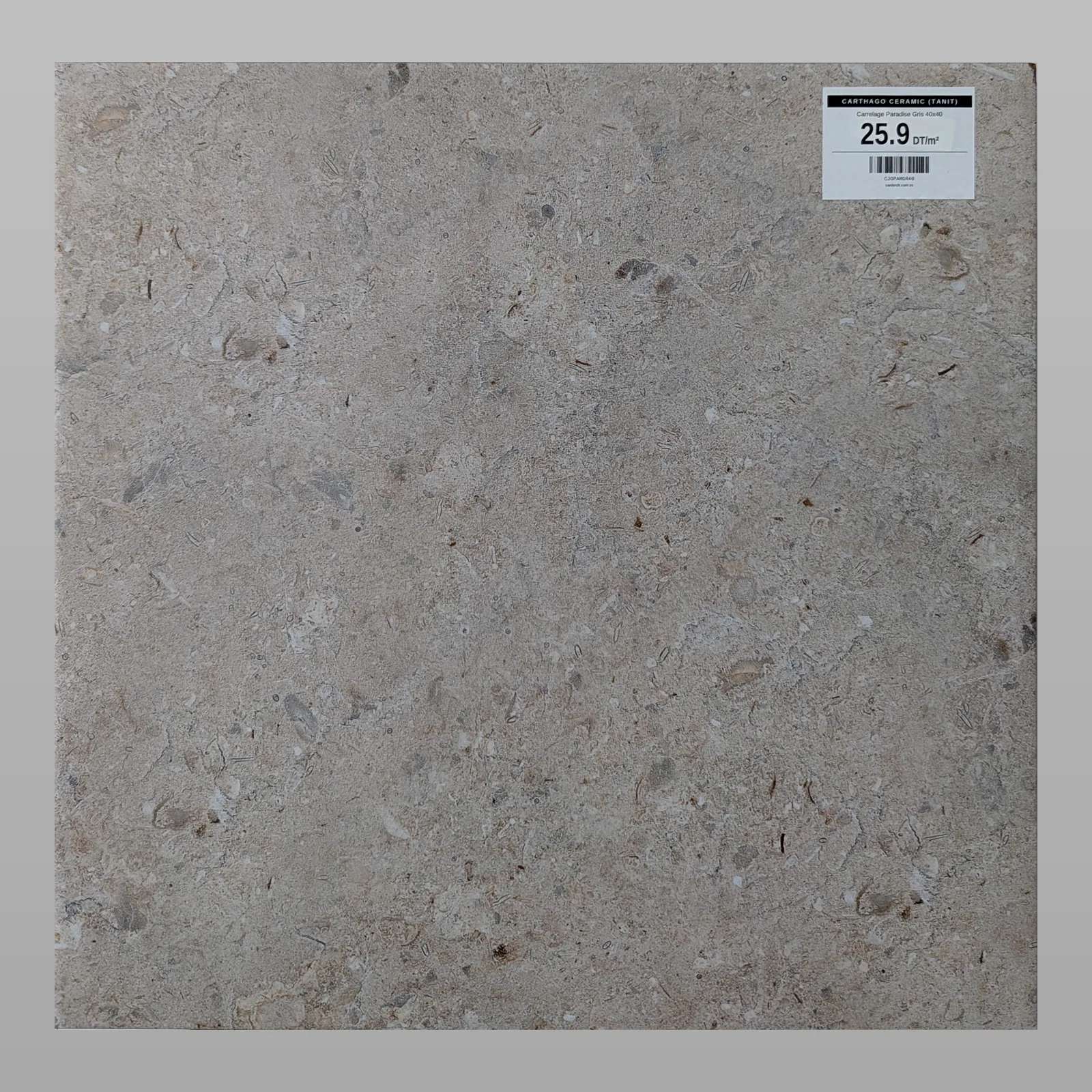 Carrelage Paradise Gris 40x40